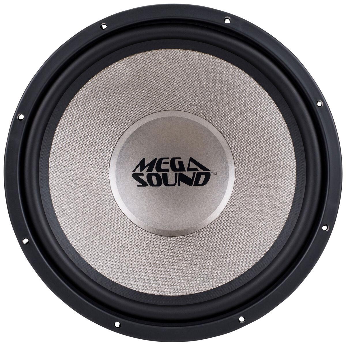 Roadmaster 10 inch hot sale subwoofer